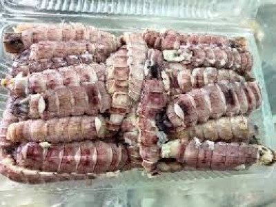 MUA THỊT TÔM TÍCH (BỀ BỀ) BÓC SẴN Ở ĐÂU NGON? 